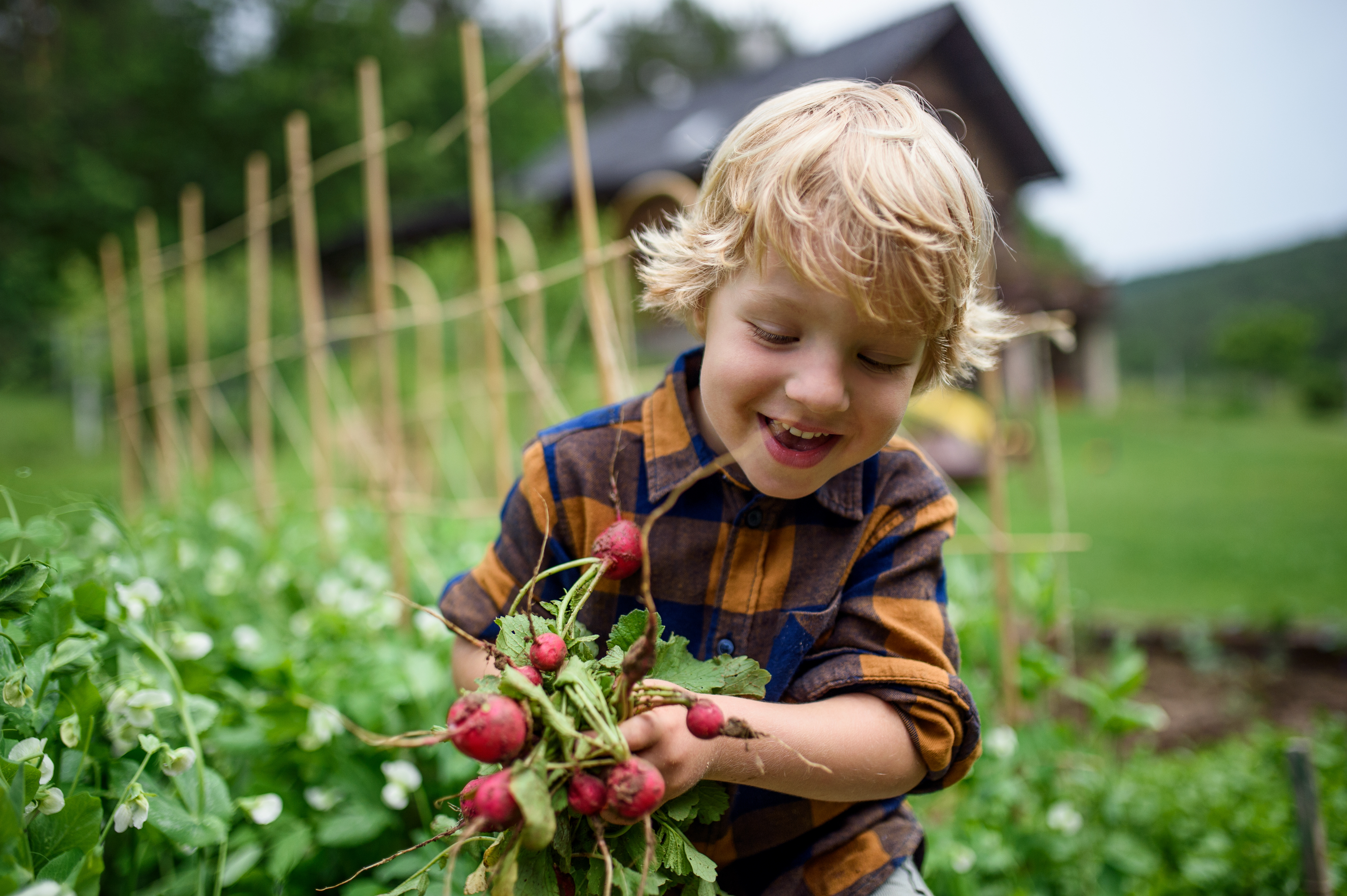 Kinder für regionales Gemüse begeistern: Tipps, Tricks und Tobi’s Biobox